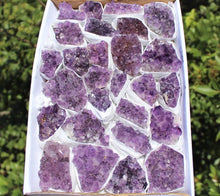 Load image into Gallery viewer, Citrine Amethyst Clear Quartz Crystal Clusters: 3 Piece Lot (Druze Specimen)