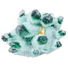 Load image into Gallery viewer, Rare!!!!Natural green crystal cluster gem quartz crystal point healing reiki witchcraft home decoration